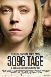 3096 дней: постер