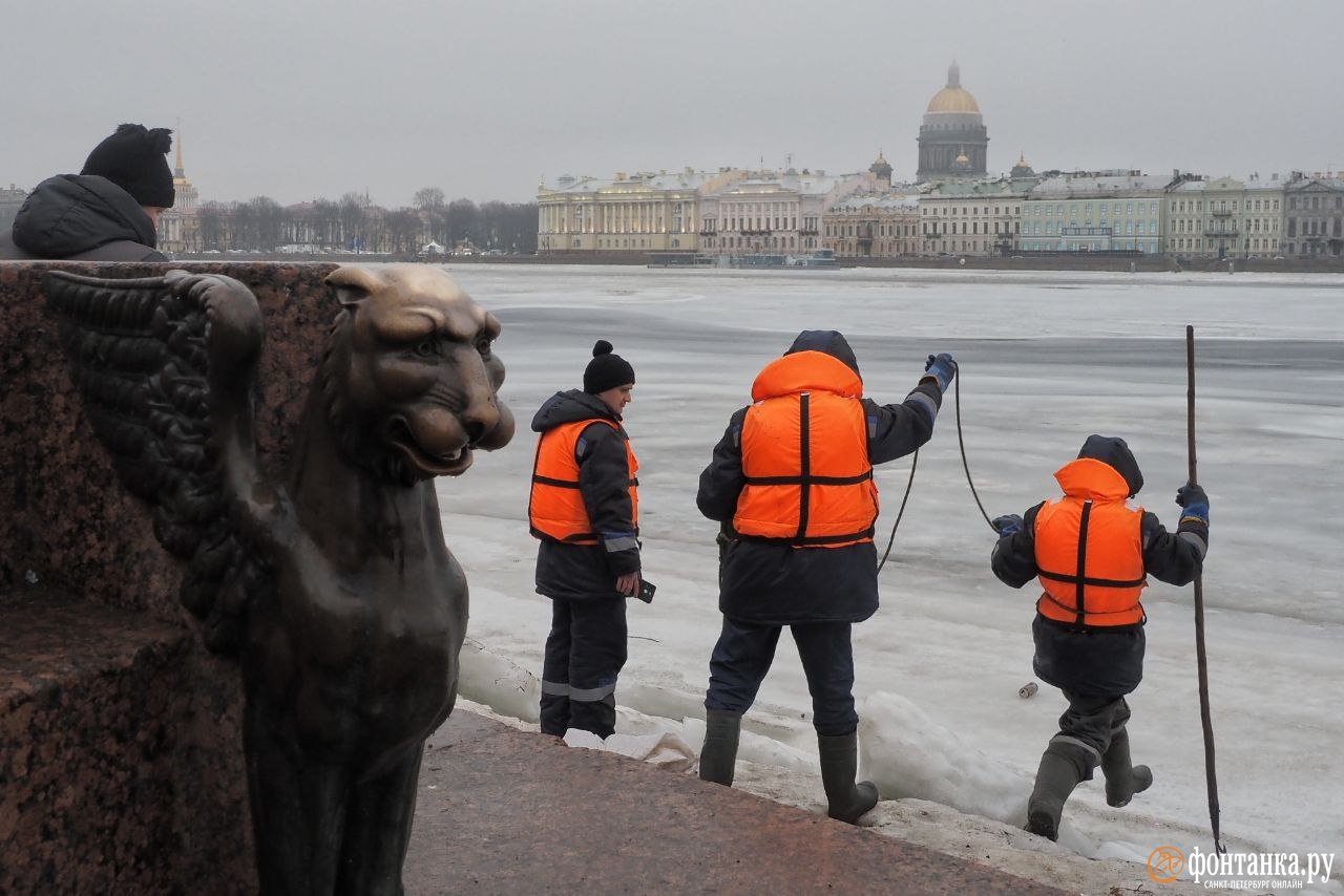 Циклон принесёт в Петербург другую погоду. Подробный прогноз на неделю -  Погода Mail.ru