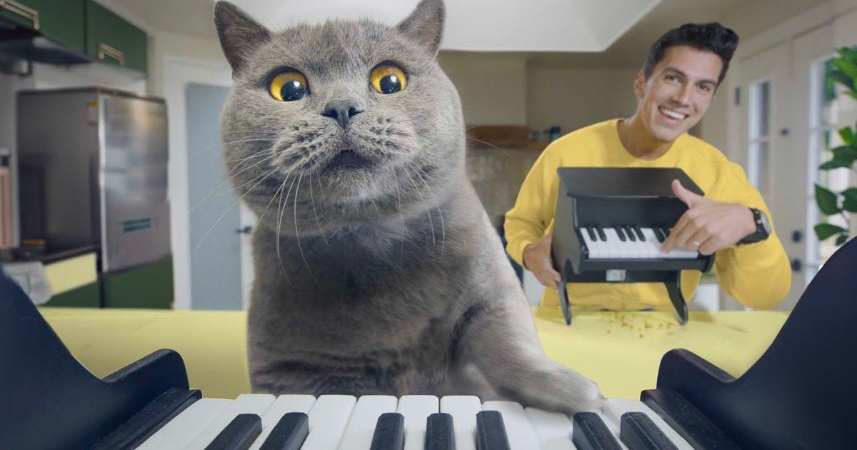 Создана музыкальная кормушка для животных в виде пианино