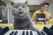 The Pet Piano