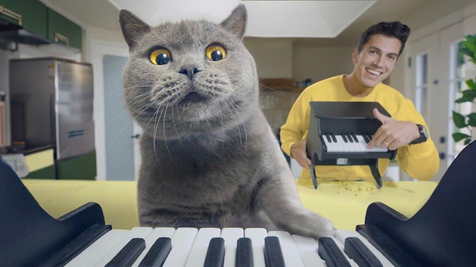 The Pet Piano. Источник: IndieGoGo