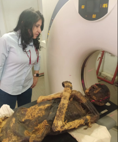Соавтор исследования Сахар Салим помещает мумию в компьютерный томограф. Фото: Sahar Saleem