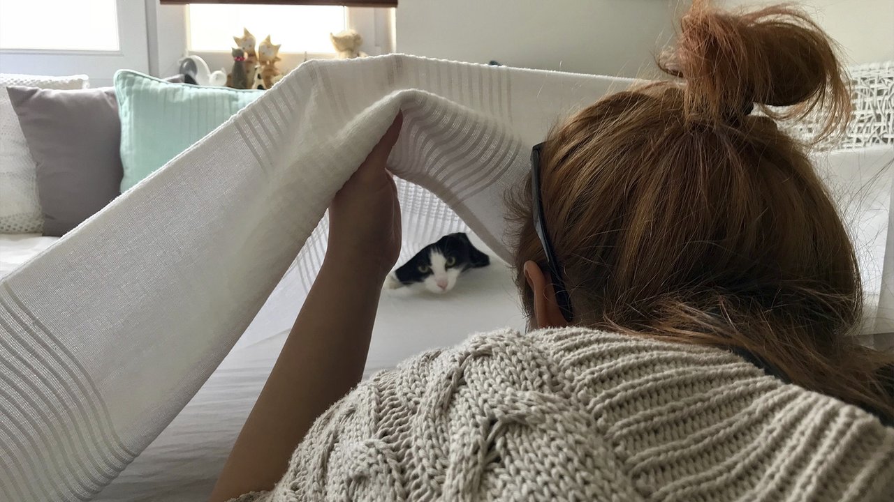 Кот спрятался под одеялом