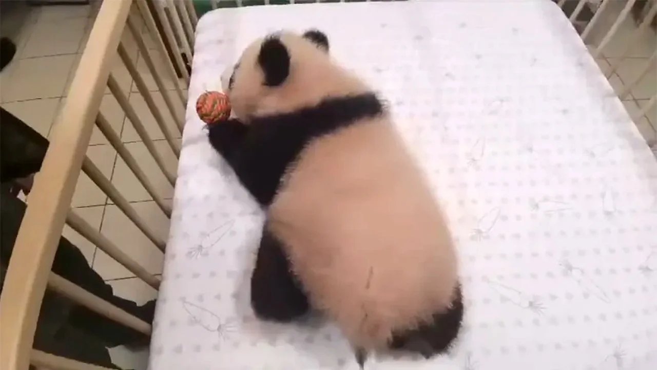 Катюша Катюша