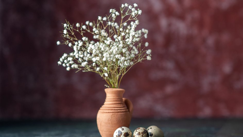 Белые цветы в глиняной вазе на фоне красной стены