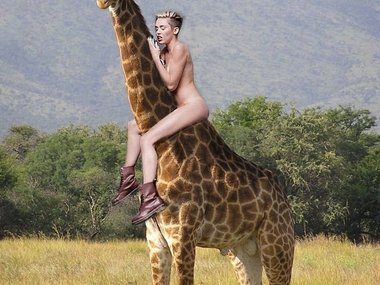 Slide image for gallery: 3250 | Комментарий lady.mail.ru: Особенно удачной, на наш взгляд, получилась "фотожаба" с жирафом