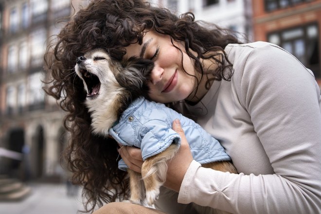dog dog