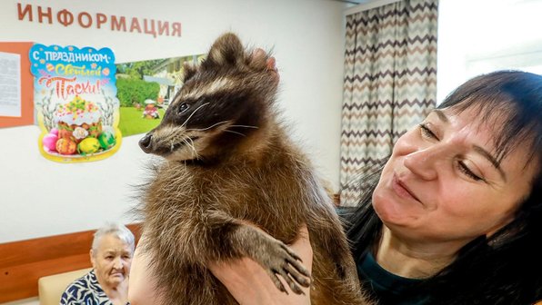 В дом милосердия Новосибирска приехал целый зоопарк