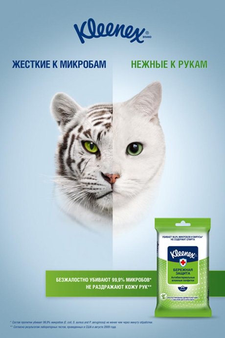 KV_Kleenex_tiger_cat_120x180_OK123