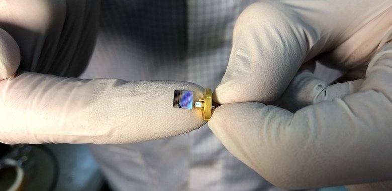 Так выглядит чип. Фото: МГУ и МФТИ