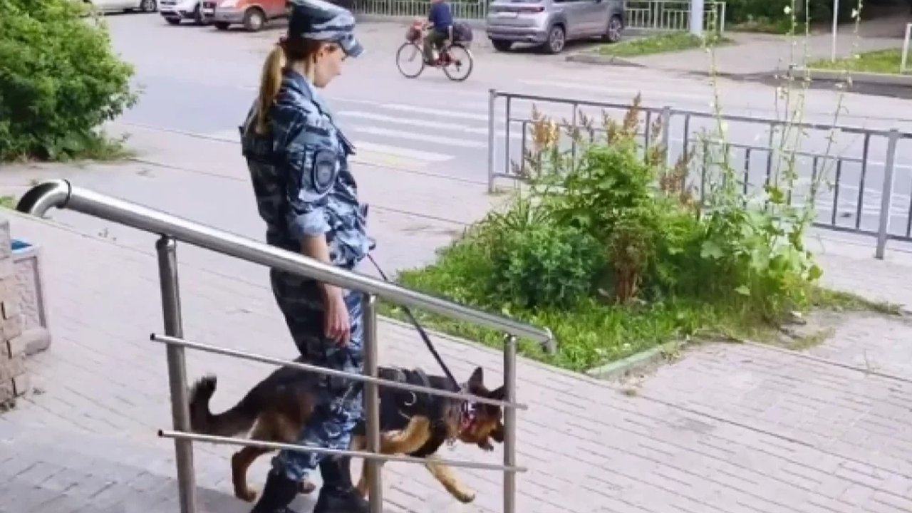 Полицейская собака с сотрудницей