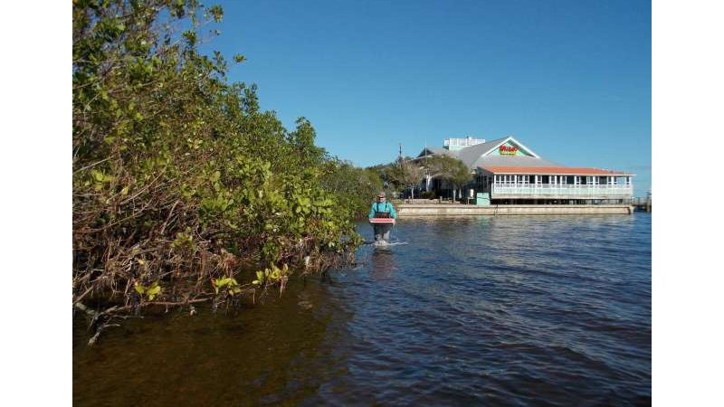 сбор образцов в воде сбор образцов в воде