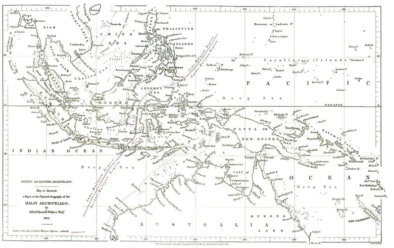 Карта Малайского архипелага, нарисованная Альфредом Расселом Уоллесом в 1863 году, с изображением линии. Фото: Alfred Russel Wallace
