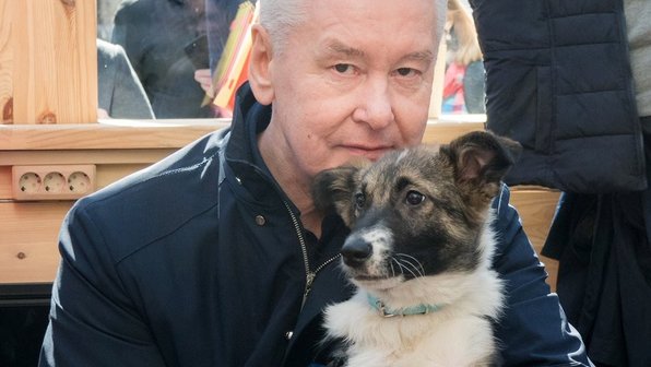 Собянин поделился в Twitter впечатлениями о том, как взял питомца из приюта