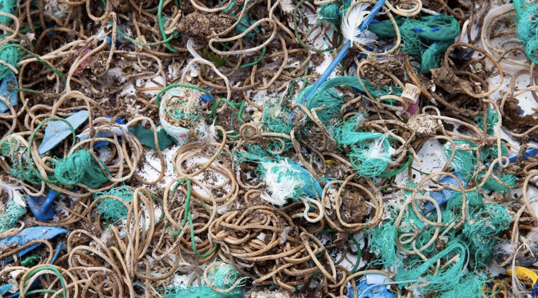 Остров Маллион весь покрыт мусором — в основном цветными резинками. Фото: Сет Джексон / Национальный фонд Великобритании