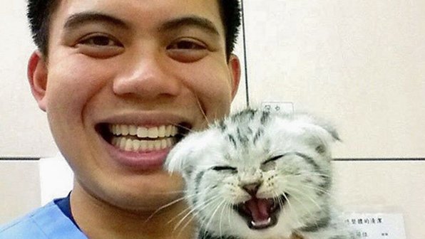10 кошек и собак на приеме у ветеринара. Фотоподборка