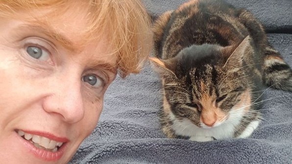 Женщина нашла сбежавшую кошку благодаря вещему сну