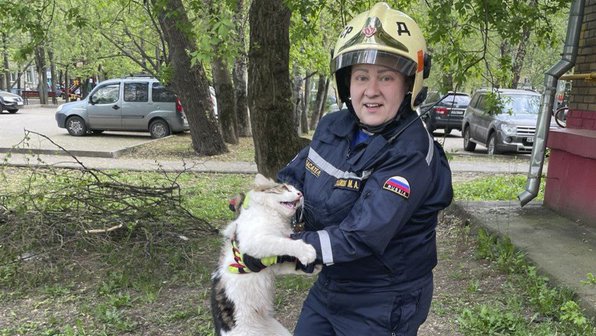 В Москве спасли самого несговорчивого  котика