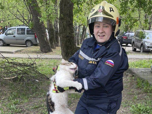 В Москве спасли самого несговорчивого  котика