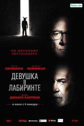 Девушка в лабиринте: постер