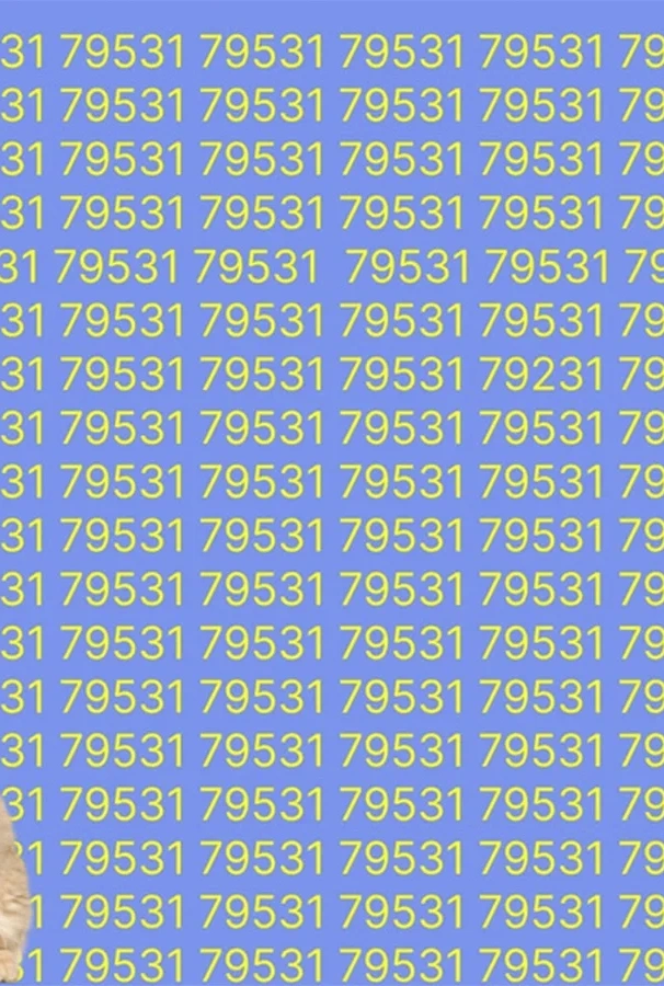 Лишь настоящие детективы смогут найти спрятанную цифру