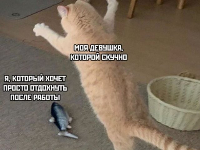 И возможности развлекать в горе, и в радости И возможности развлекать в горе, и в радости