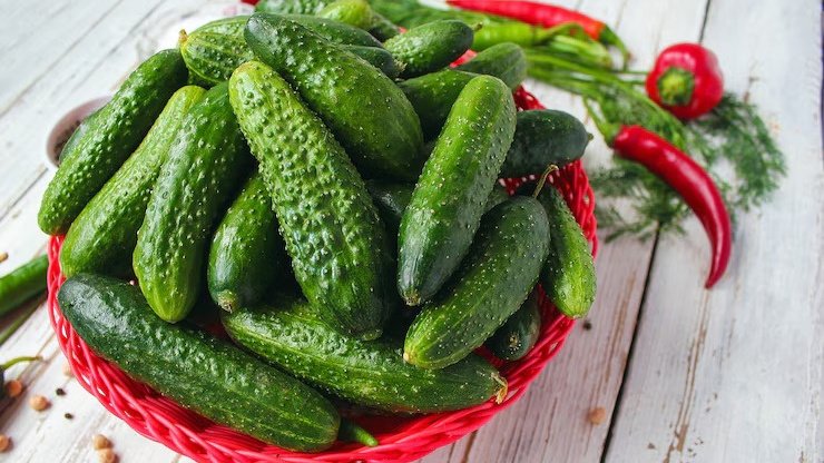 Свежие огурцы для мариновки в банке. Свежие огурцы для мариновки в банке.
