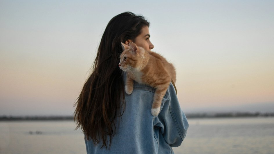 девушка с котом девушка с котом