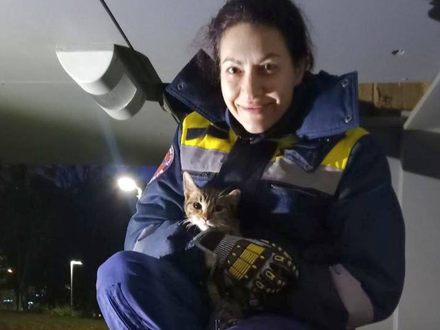 В Москве спасли котенка, застрявшего «неизвестно где»