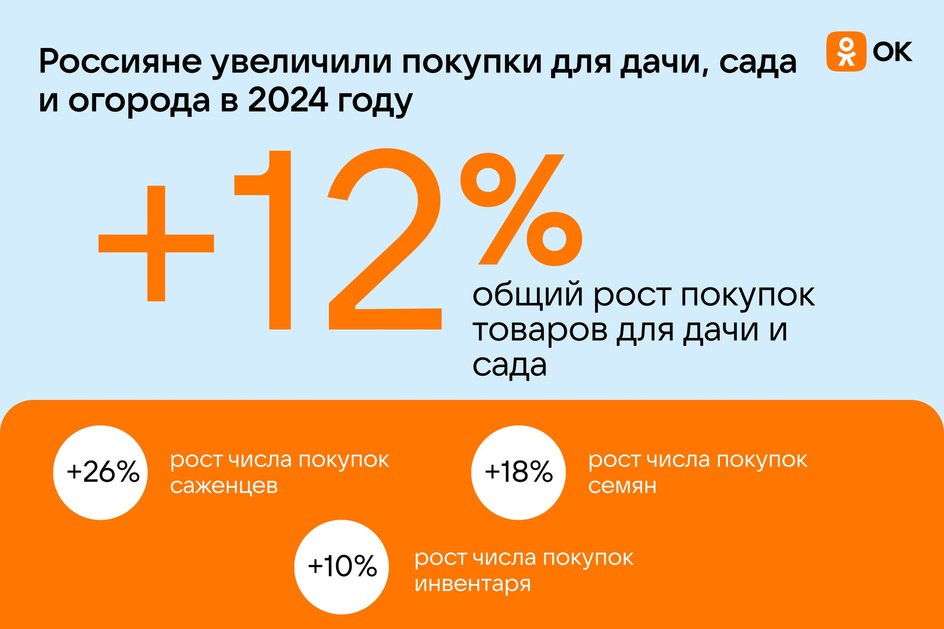 Инфографика