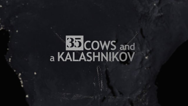 35 коров и автомат Калашникова