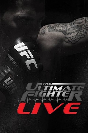 Постер реалити-шоу «The Ultimate Fighter» (15 сезон)