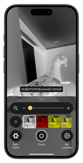 как найти клеща на собаке с помощью iPhone как найти клеща на собаке с помощью iPhone