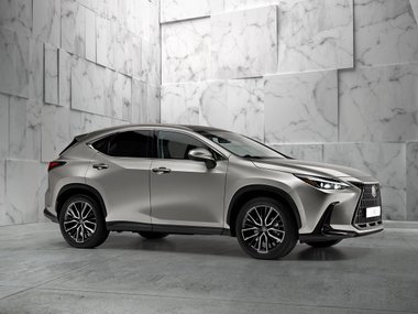 slide image for gallery: 28463 | Lexus NX