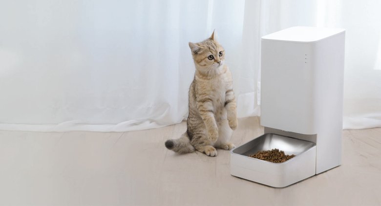 Кормушка Smart Pet Food Feeder с милым котиком. Фото: Xiaomi 