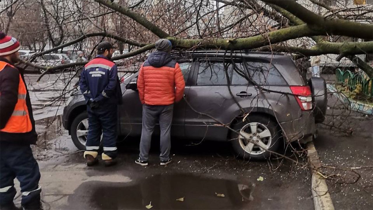 В Москве из-за штормового ветра на автомобили стали падать деревья - Погода  Mail.ru