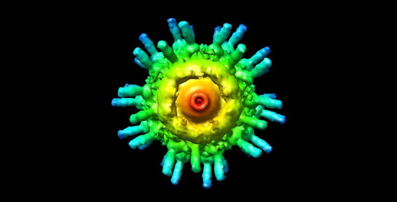 Вирусный белок. Изображение получено при помощи КЭМ. Фото: Кеннет Эдвард / BiograFX