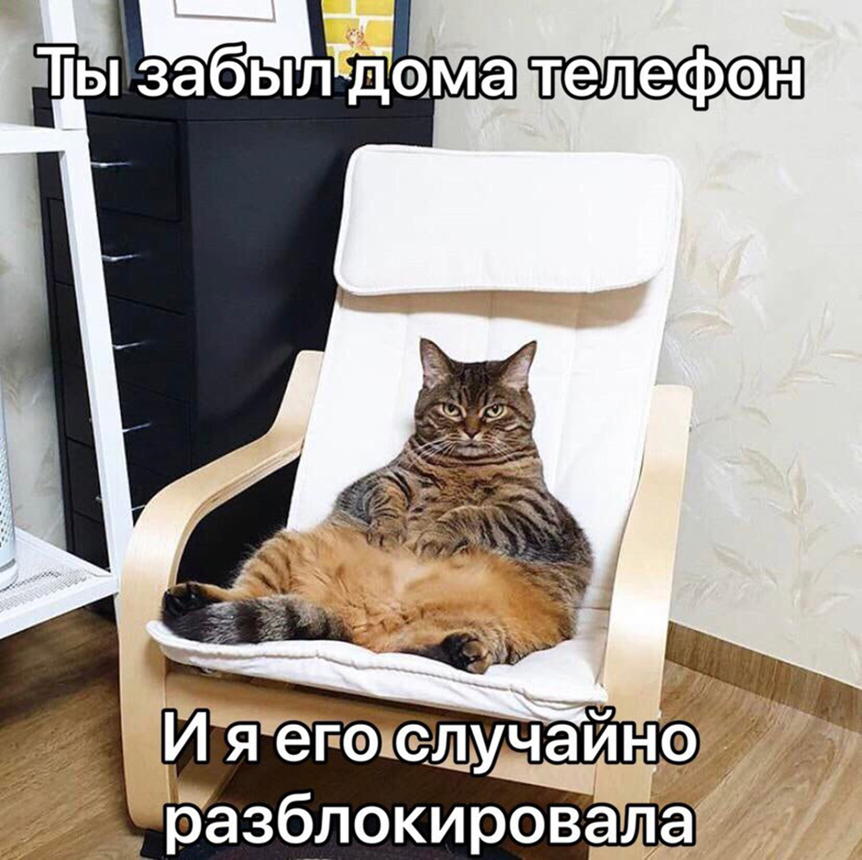 Ревнивая кошечка