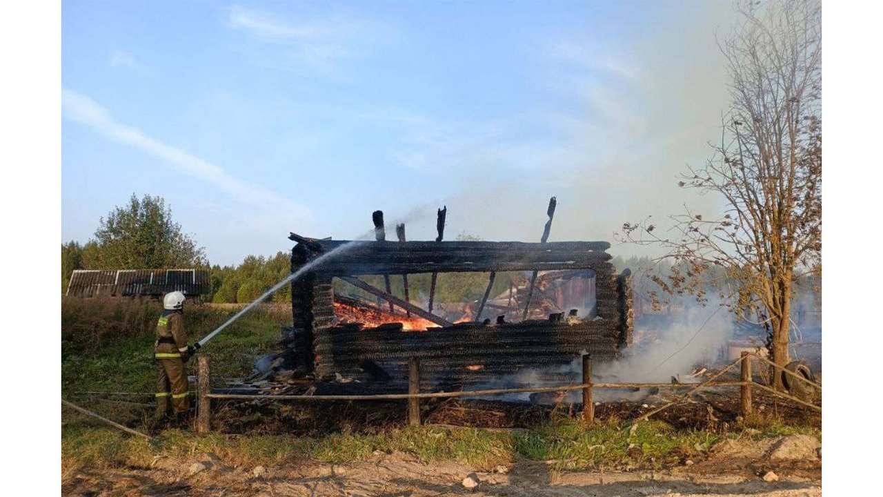 Под Архангельском собака спасла семью от гибели на пожаре