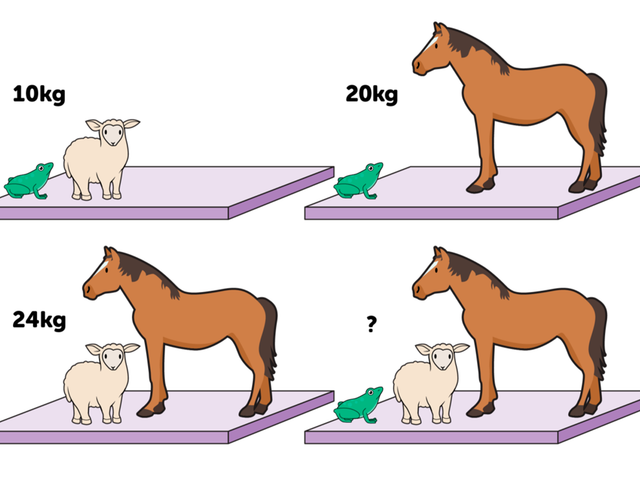 Математическая головоломка. Сколько весят все животные вместе?