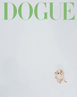 Dogue