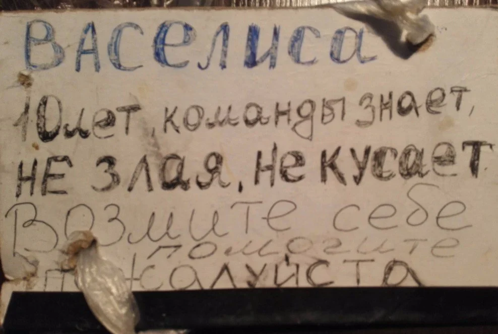 https://resizer.mail.ru/p/6bb3c336-ef29-5680-858a-76cb93373281/AQAOwTg_EpMwy40_Ub8Gc84vXs8zu13lisXP-1fK-d7XAhcgXTAm9GosiGkngJOYFq6t7_kHfA-fbJsyXXUqkZzadAw.webp