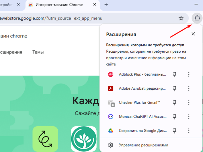 Открытый браузер Google Chrome с выбранным параметром «Расширения»