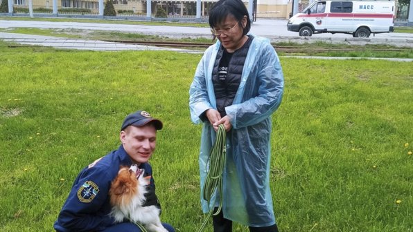 Пес провалился в пятиметровую яму и умолял о помощи в Сибири