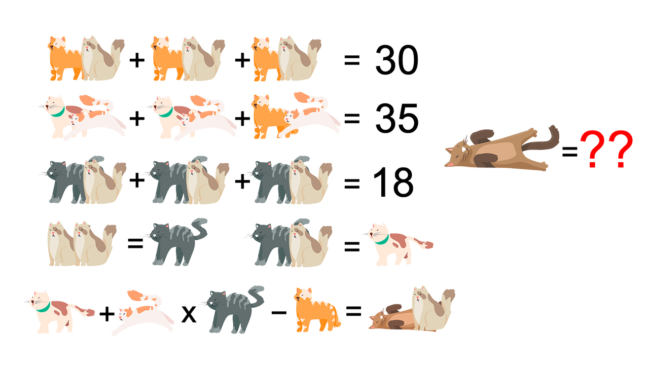 Найдите, какой цифре равен коричневый котик