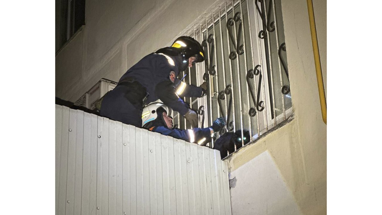 В Москве спасли кота-парашютиста, застрявшего в решетке