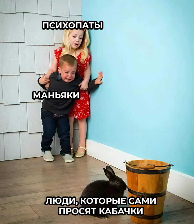 Мемы про кабачок