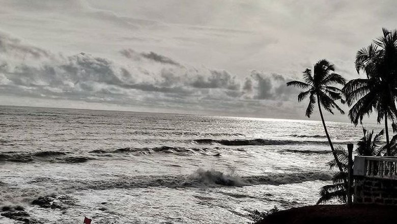 Пляж Анджуна на ГОА и красивые пальмы.