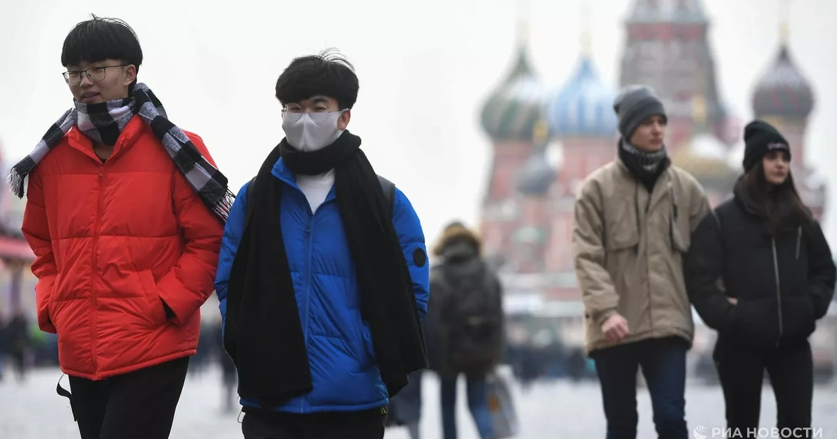 что везут из европы в россию