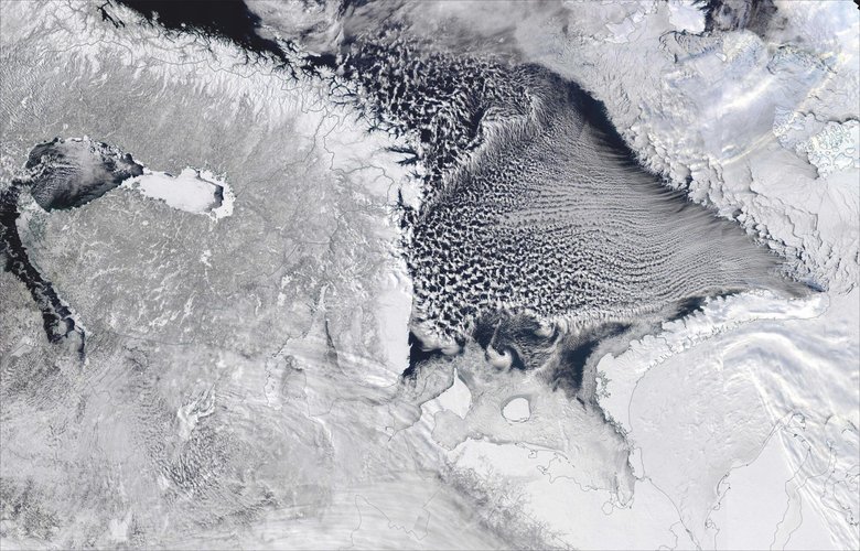 Длинные параллельные полосы из облаков, простирающихся на юг через Баренцево море, образуются в результате испарения льда. Фото: NASA